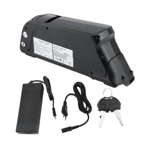 48V 10AH 480W batterie rechargeable Pack E vélo Akku pour vélo électrique