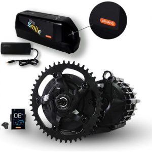 Bafang vélo électrique à Moteur Central de Conversion 48V 1000W100MM Ebike Kit avec 50.4V19Ah Batterie et nouvel écran DPC 181