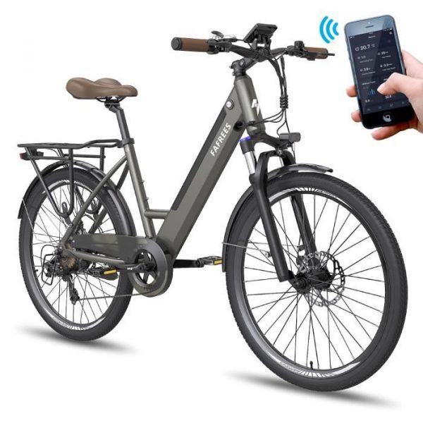 Fafrees F26 Pro Vélo électrique 26", 36V 250W, 10Ah Batterie, VAE Shimano 7 Vitesses, E-bike Adulte - Noir
