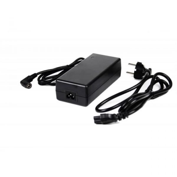 Phylion 29.4V 2A (RCA à 2 broches) chargeur de vélo électrique pour batterie de vélo électrique XH259-10J