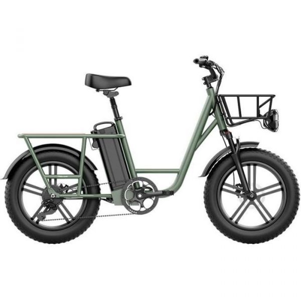 Vélo Électrique FIIDO T1 Cargo 750W Puissance 48V 20AH Batterie Lithium 150km Autonomie Amortisseurs