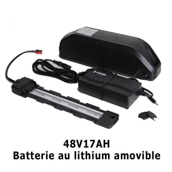 Batterie de vélo électrique 48v17ah batterie au lithium amovible pour moteur BAFANG BBS01 BBS02