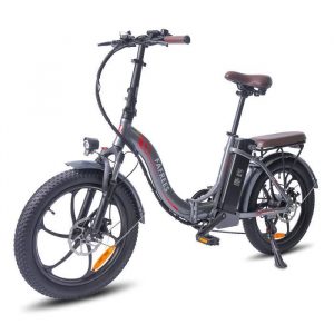Fafrees F20 pro Vélo électrique 20"*3.0 Gros Pneu 18Ah Grande Capacité Batterie 36V 250W Vélo de Ville électrique, Gris