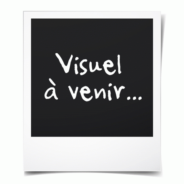 Lampe de poche de clignotant de vélo de montagne de vélo électrique pour le flash de rafale de feu de freinage arrière-TIP