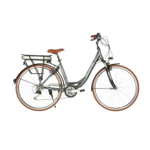 Vélo électrique Minerva CM Alivio 49 - gris - 49 cm