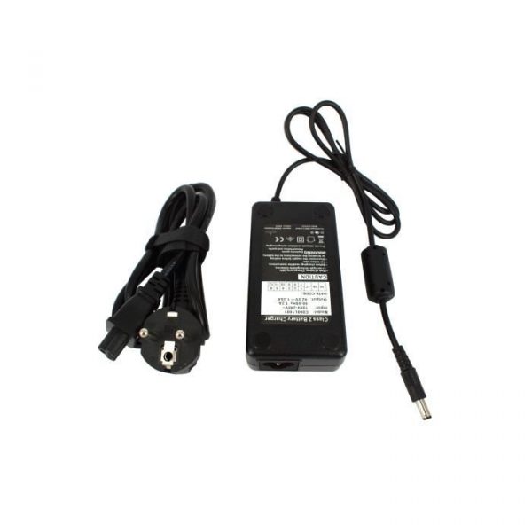 Chargeur 36V pour ebikesolutions BATTERIE EBS PEDELEC RACK 36V, batterie de vélo électrique