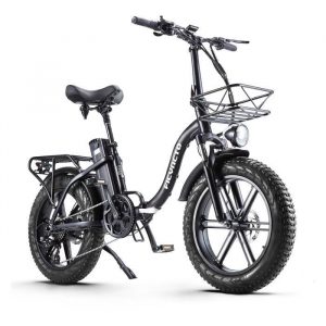 FICYACTO Vélo Électrique,20 pouces Fat Tire Ebikes, Vélo à assistance électrique Batterie 20Ah 800W E-bike,pompe à vélo gratuite